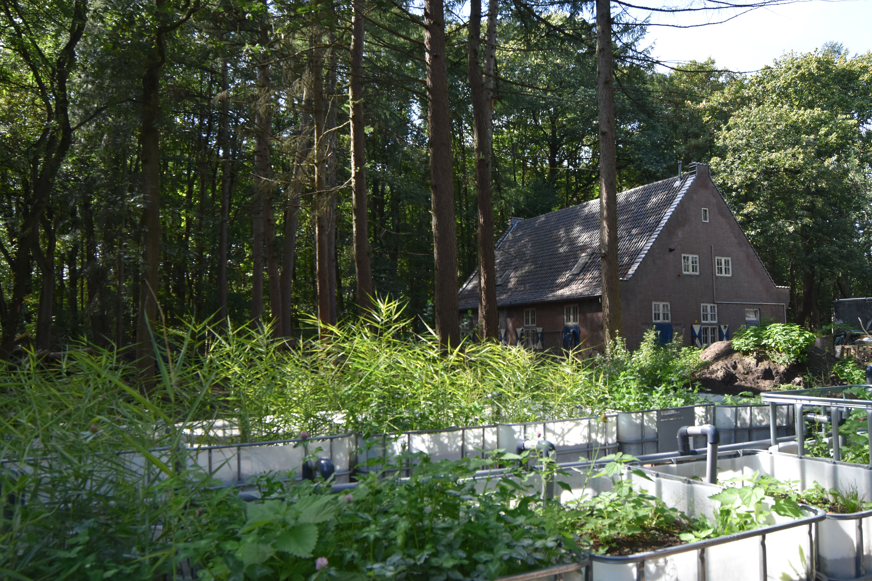 bioartvillage-(1)